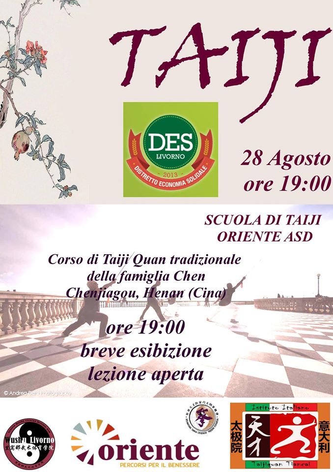 DES 2016 - Corso di Taiji Chen